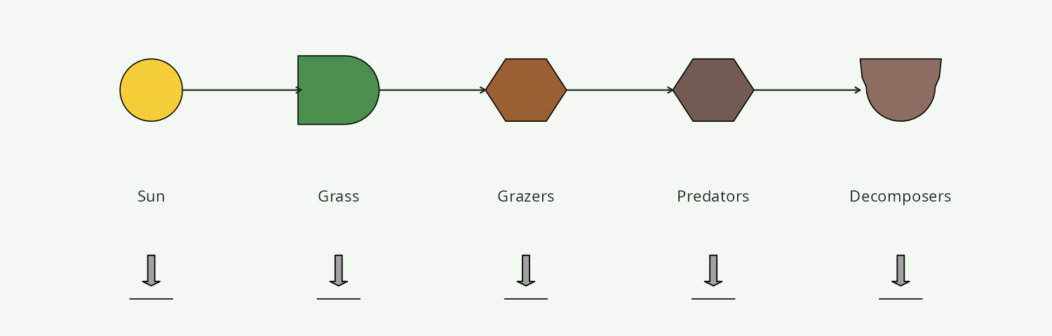 A minimal solar-food-web diagram: Sun → Grass → Grazers → Predators, Decomposers on the side, each dumping heat